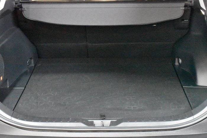 2022 Toyota RAV4 Cruiser