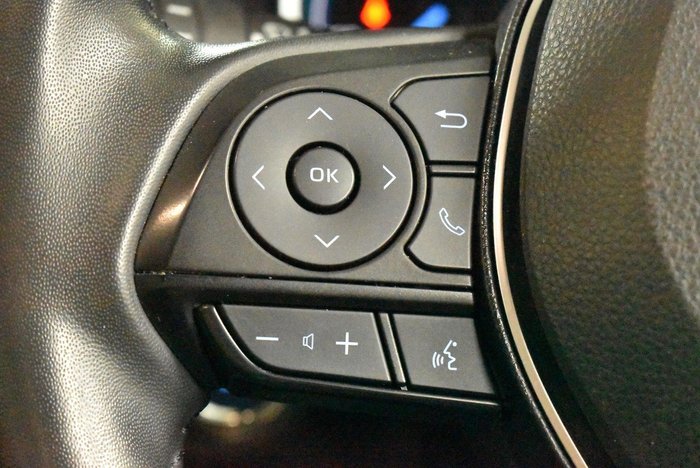 2022 Toyota RAV4 Cruiser