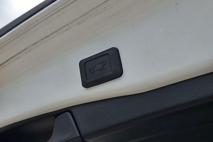 2023 Toyota RAV4 Cruiser