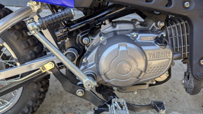 2025 Yamaha 2025 Yamaha 110CC TTR110ES Blue