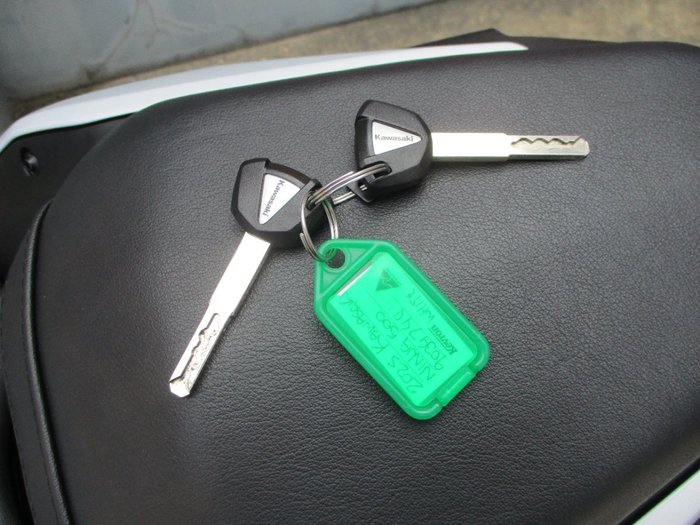 2025 Kawasaki NINJA 500 SILVER