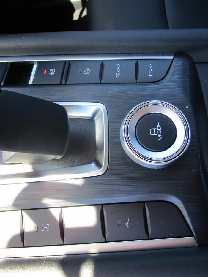 2025 GWM Cannon Premium