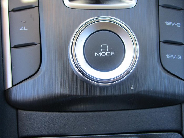 2025 GWM Cannon Premium