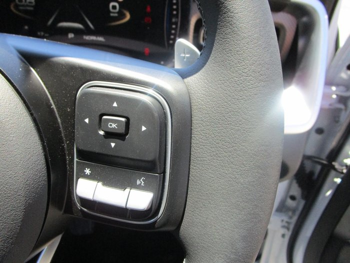 2025 GWM Cannon Premium