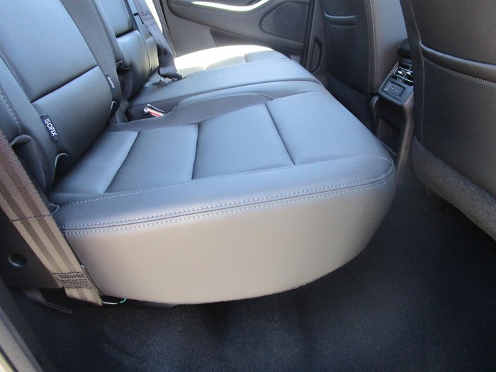 2025 GWM Cannon Premium