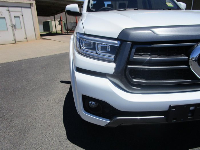 2025 GWM Cannon Premium