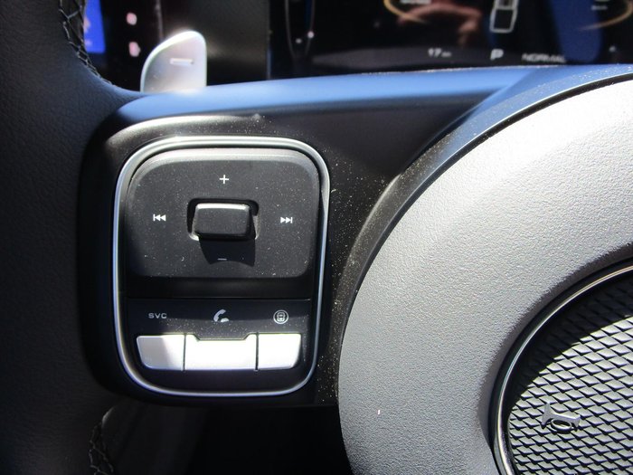 2025 GWM Cannon Premium