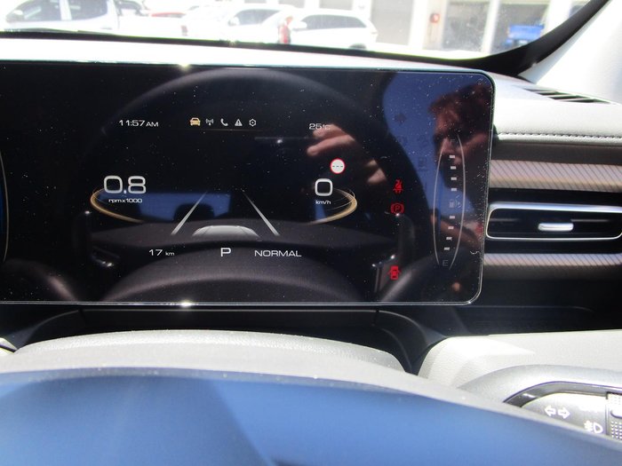 2025 GWM Cannon Premium