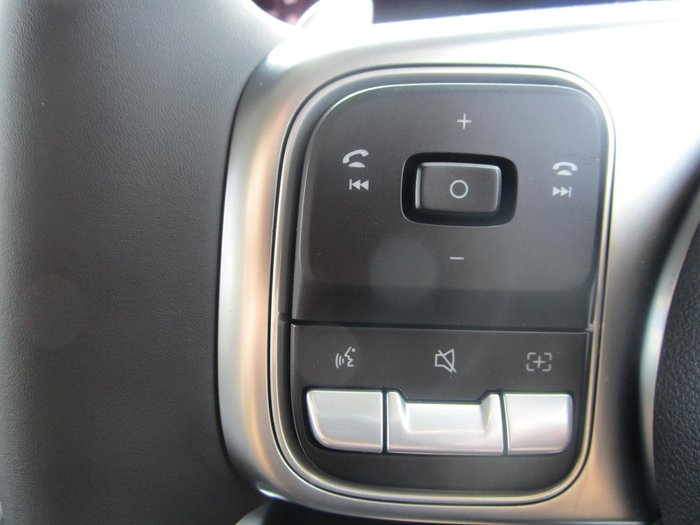 2025 GWM Tank 300 Lux