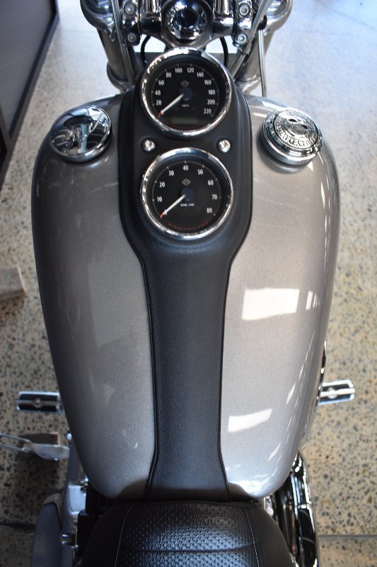 2017 Harley-davidson FXDL LOW RIDER SILVER