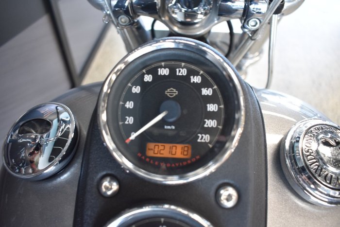 2017 Harley-davidson FXDL LOW RIDER SILVER