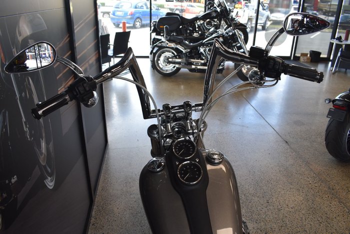 2017 Harley-davidson FXDL LOW RIDER SILVER