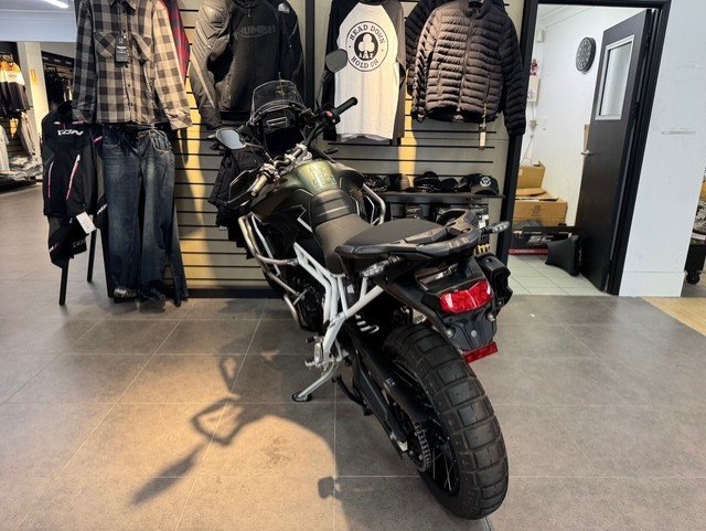 2025 Triumph TIGER 900 RALLY PRO GREEN