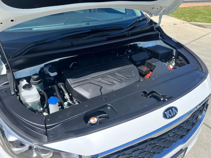 2018 Kia Carnival Platinum