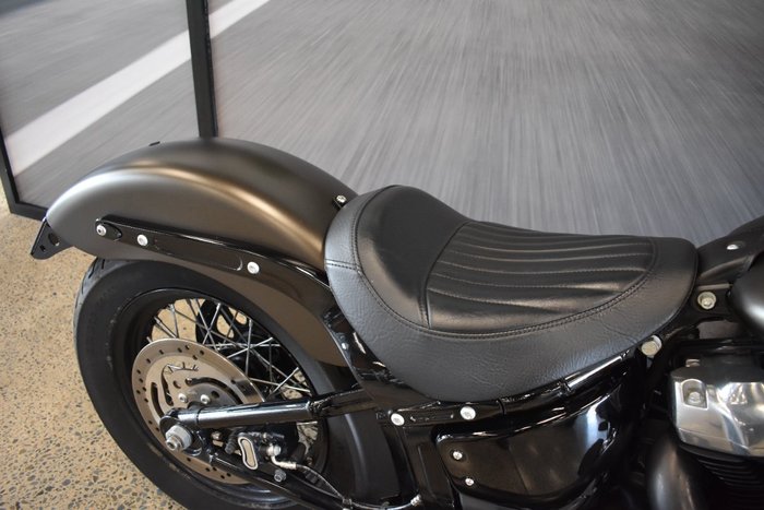 2021 Harley-davidson FLSL SOFTAIL SLIM (107)