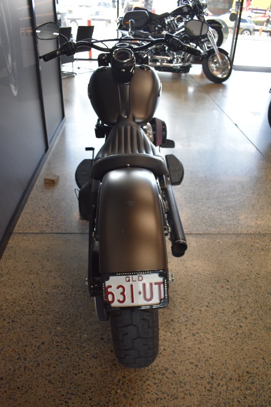 2021 Harley-davidson FLSL SOFTAIL SLIM (107)