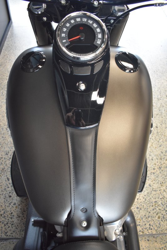 2021 Harley-davidson FLSL SOFTAIL SLIM (107)