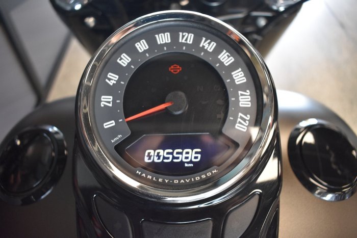 2021 Harley-davidson FLSL SOFTAIL SLIM (107)