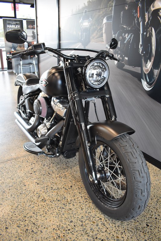 2021 Harley-davidson FLSL SOFTAIL SLIM (107)