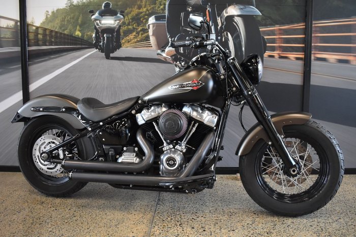 2021 Harley-davidson FLSL SOFTAIL SLIM (107)