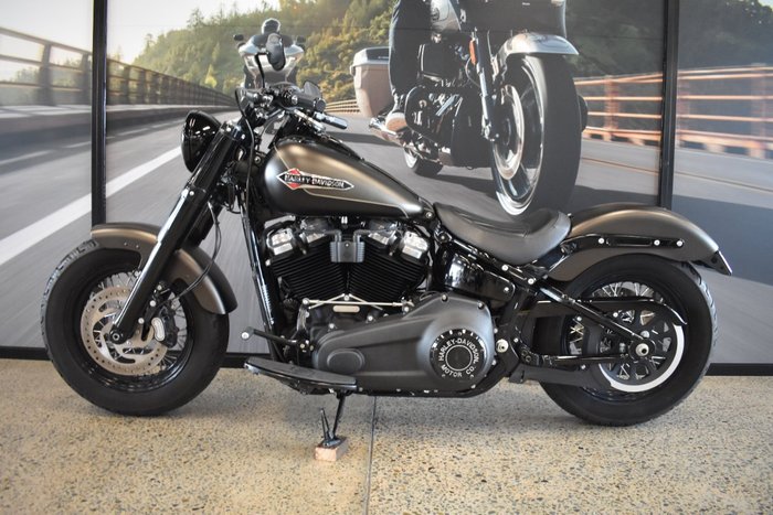 2021 Harley-davidson FLSL SOFTAIL SLIM (107)
