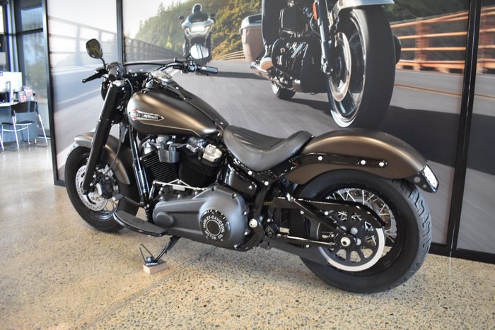 2021 Harley-davidson FLSL SOFTAIL SLIM (107)