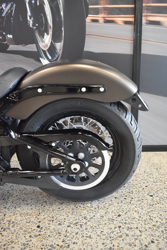 2021 Harley-davidson FLSL SOFTAIL SLIM (107)