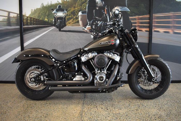 2021 Harley-davidson FLSL SOFTAIL SLIM (107)