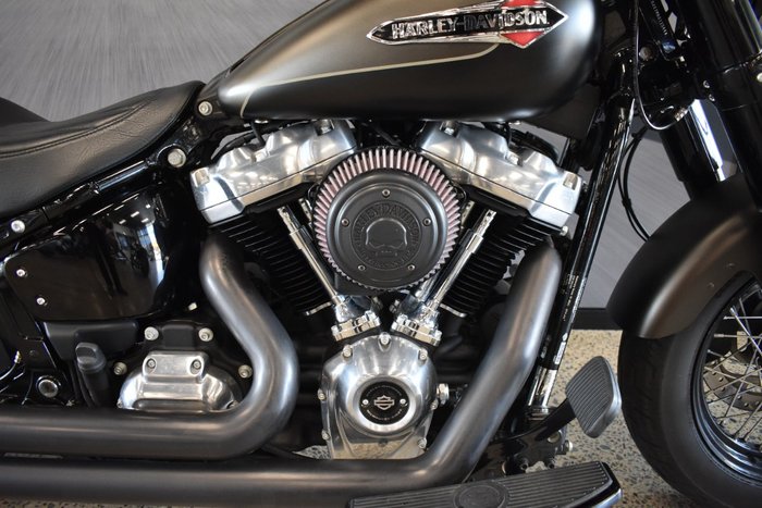 2021 Harley-davidson FLSL SOFTAIL SLIM (107)