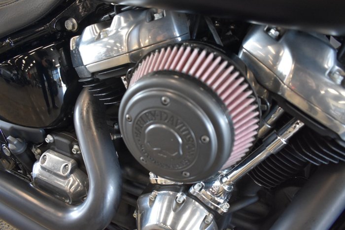 2021 Harley-davidson FLSL SOFTAIL SLIM (107)