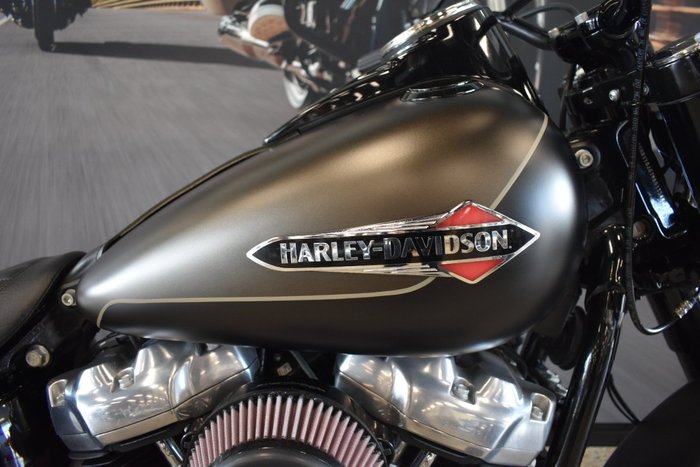 2021 Harley-davidson FLSL SOFTAIL SLIM (107)