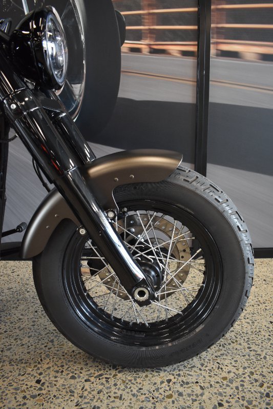 2021 Harley-davidson FLSL SOFTAIL SLIM (107)