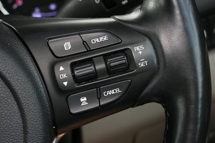 2019 Kia Carnival Platinum