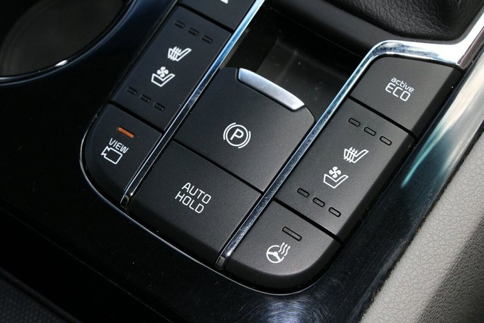 2019 Kia Carnival Platinum