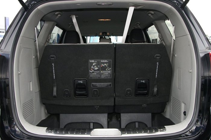 2019 Kia Carnival Platinum