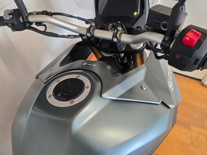 2024 Suzuki V-STROM 800 (DL800RQ) Green