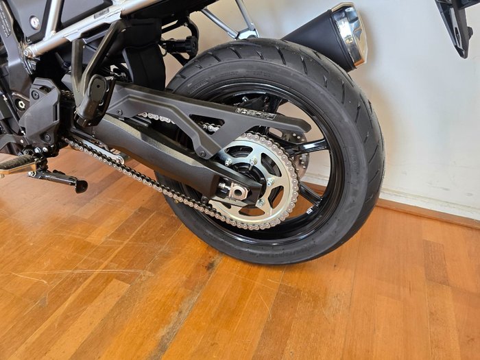 2024 Suzuki V-STROM 800 (DL800RQ) Green