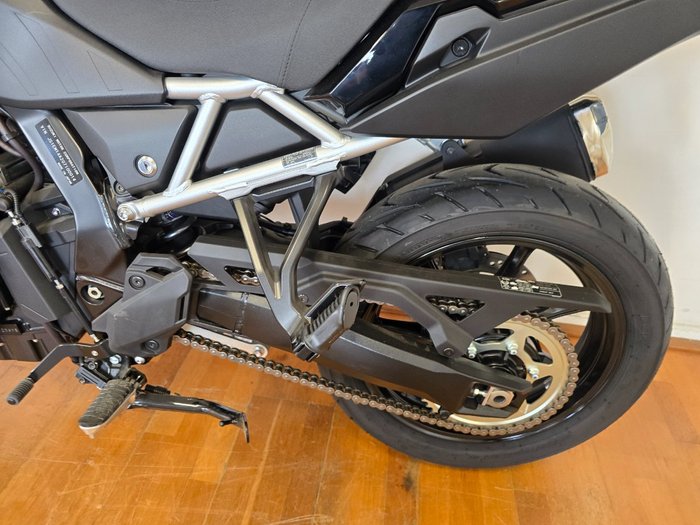 2024 Suzuki V-STROM 800 (DL800RQ) Green