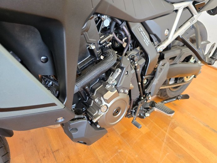 2024 Suzuki V-STROM 800 (DL800RQ) Green