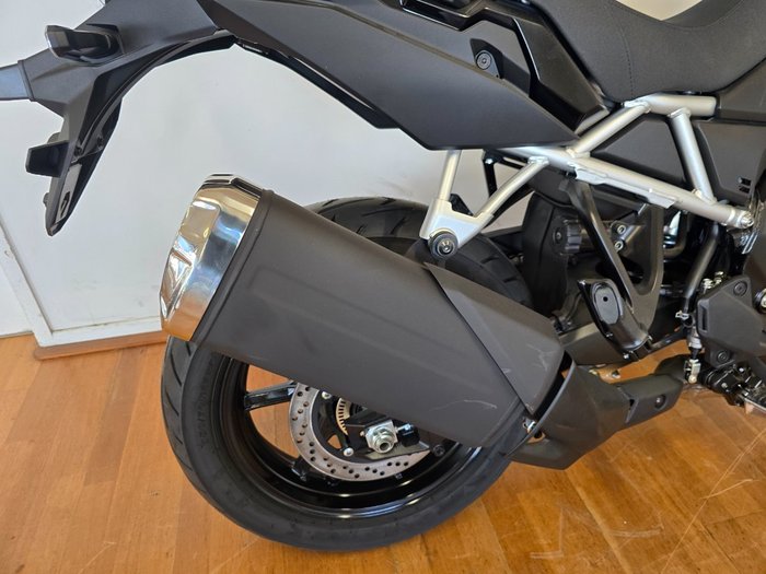 2024 Suzuki V-STROM 800 (DL800RQ) Green