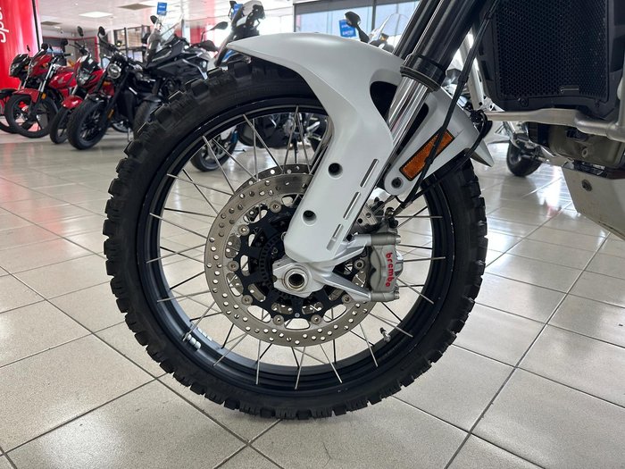 2022 Ducati Desert X Desert X White
