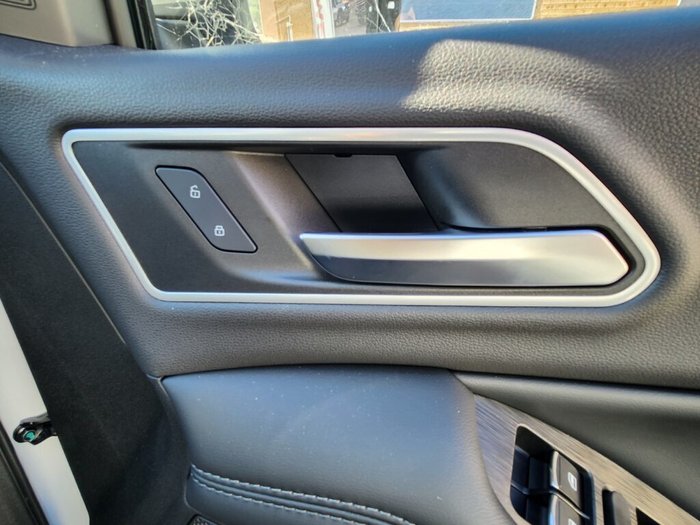 2025 GWM Cannon Premium