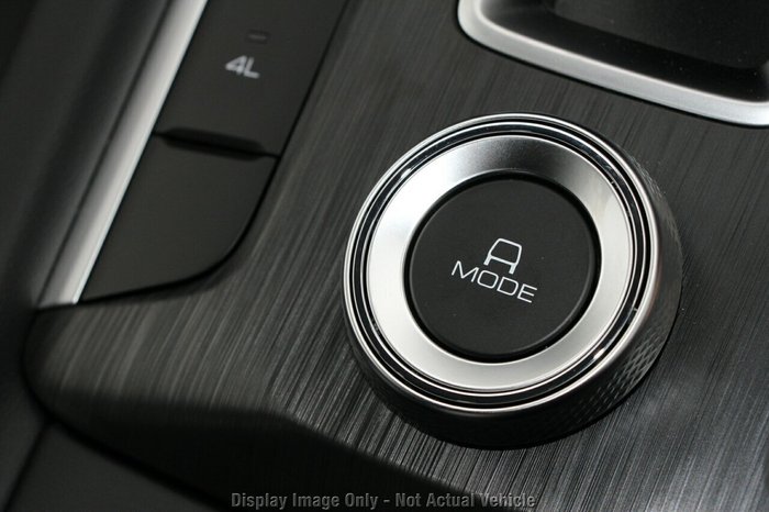 2025 GWM Cannon Premium