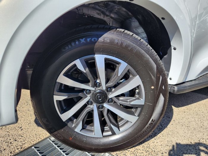 2025 GWM Cannon Premium