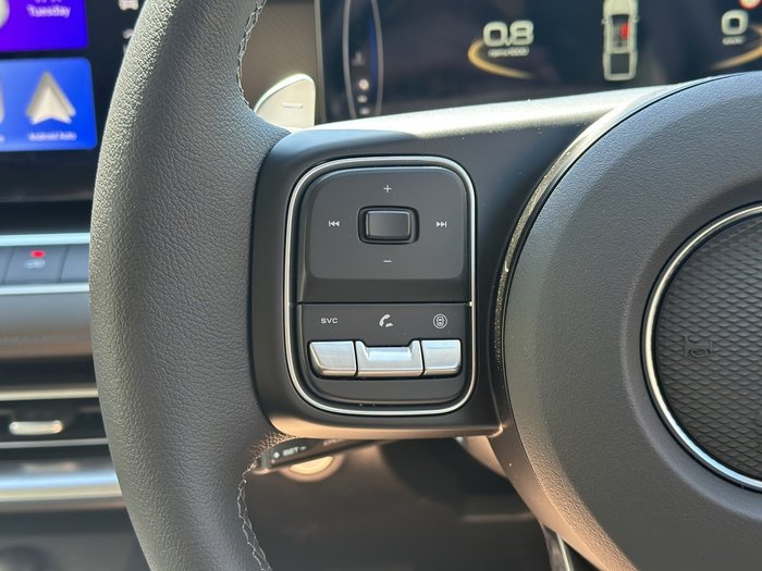 2025 GWM Cannon Premium