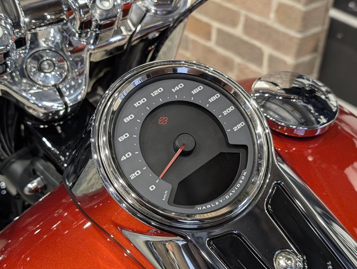 2025 Harley-Davidson Fat Boy 117 (FLFB) Softail