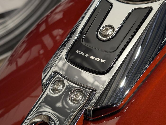 2025 Harley-Davidson Fat Boy 117 (FLFB) Softail