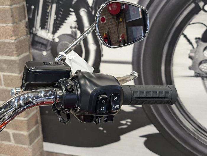 2025 Harley-Davidson Fat Boy 117 (FLFB) Softail