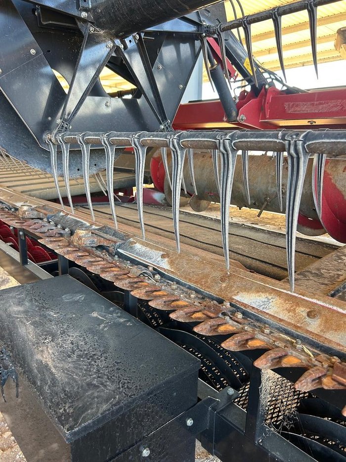 2021 CASE IH 4R40 Draper Front & Trailer