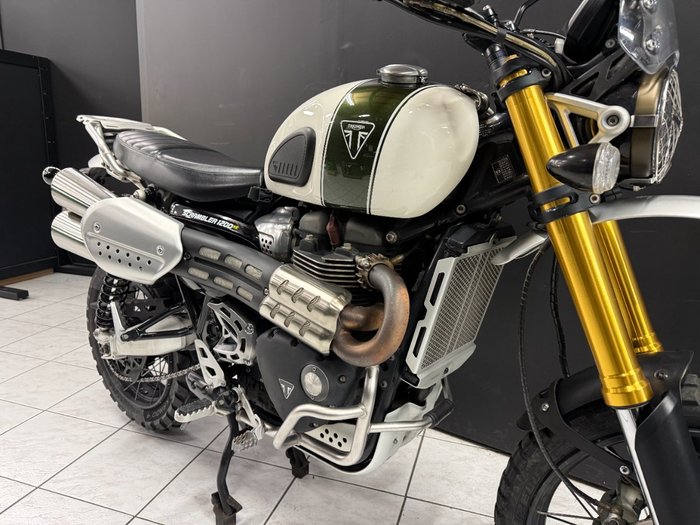 2019 TRIUMPH SCRAMBLER 1200 XE White